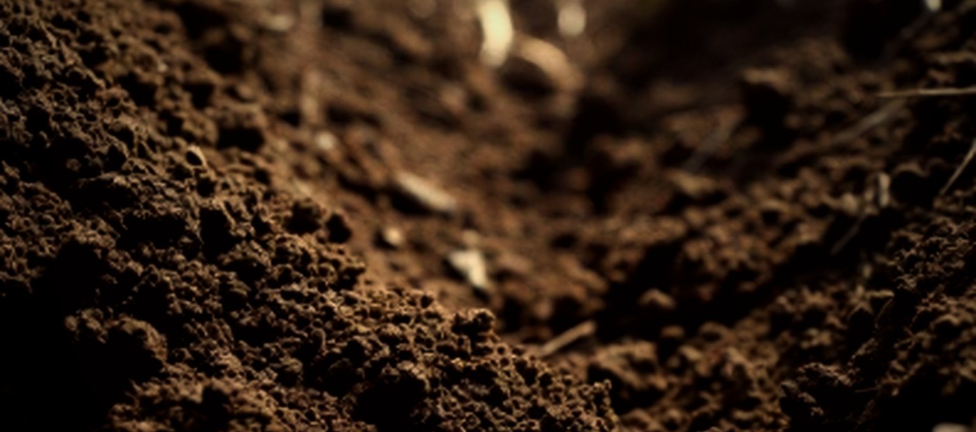 Dark, worked soil in close view.